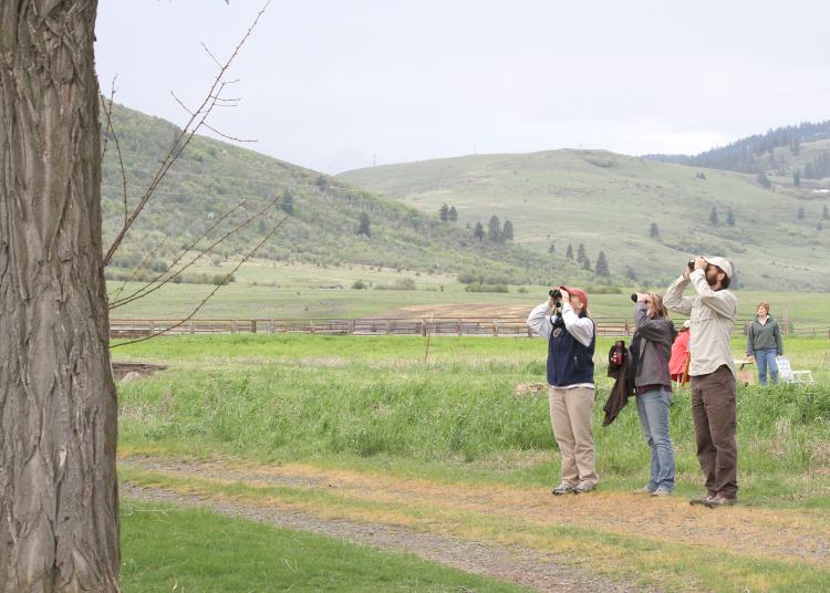 Oregon bird watchers.