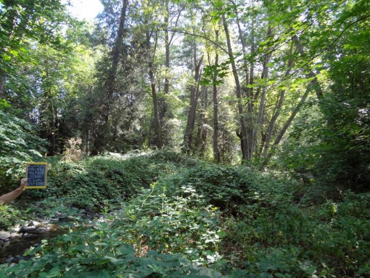 Applegate Partnership on Thompson Creek before restoration work