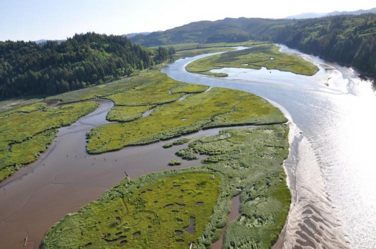 North Fork Siuslaw River