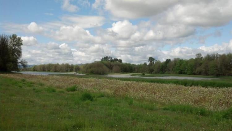 Sauvie Island