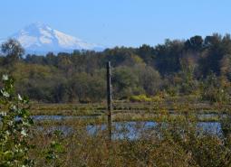 Smith-Bybee Lakes and Columbia Slough area