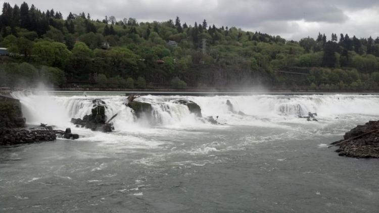 Willamette Falls