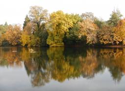 South Fork Umpqua River