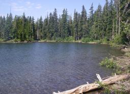 Mt Jefferson Wilderness, North area