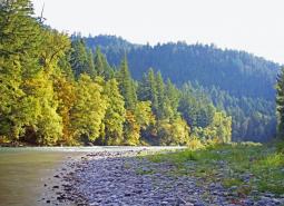 Middle Fork Willamette River