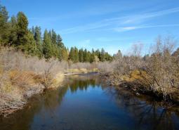 Big Marsh Creek