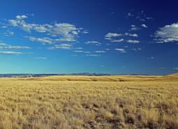 Zumwalt Prairie Plateau