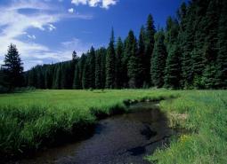 Middle Fork John Day River