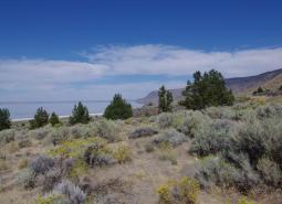 Lake Abert area