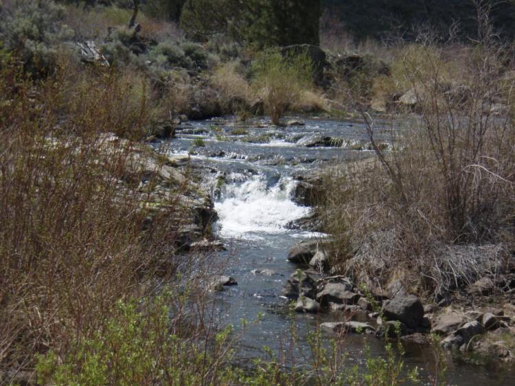 Warner Basin Wetlands