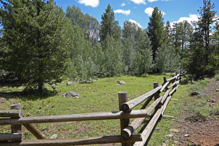 Fencing to reduce grazing in aspen stands. 