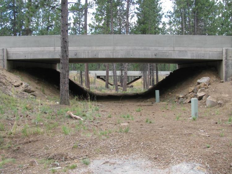 Wildlife Passage Structure, Highway 97, Central Oregon