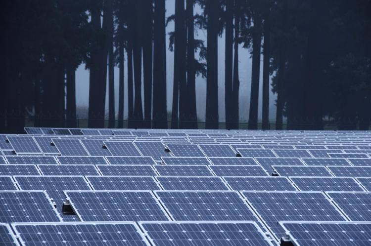 Solar panels in Clackamas County, OR.