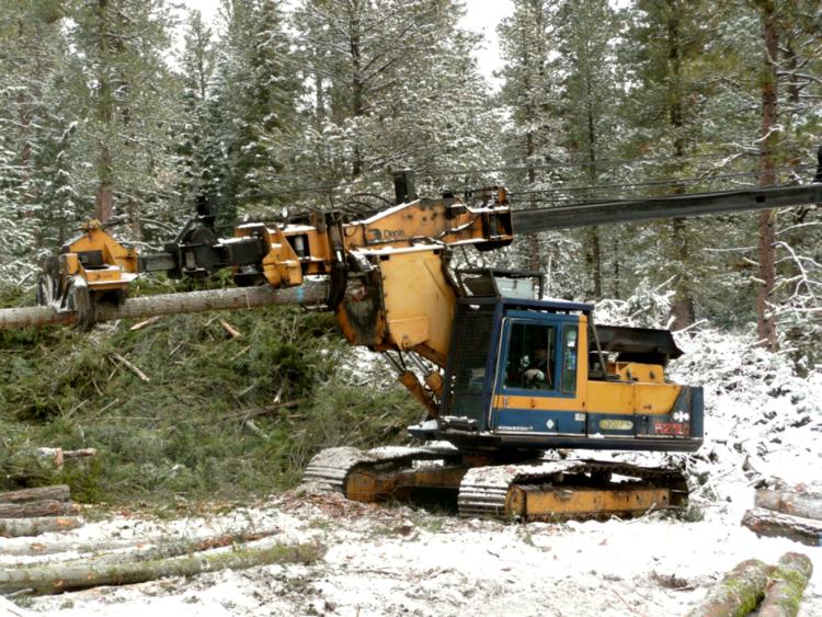 The Knox Stewardship Project worked to remove small trees and brush to reduce hazardous fuels on over 6,500 acres on the Malheur National Forest.