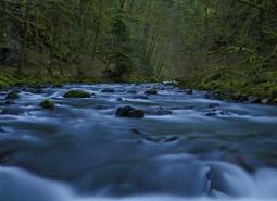 Water Quality and Quantity