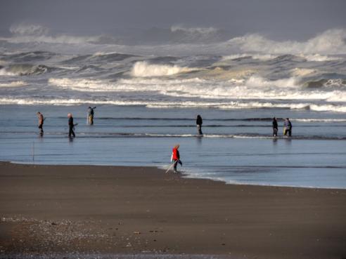 Razor clamming